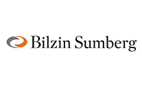 Bilzin Logo Small